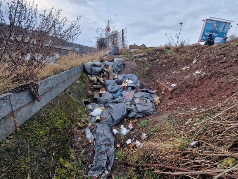 Müllsäcke liegen in der Natur herum.