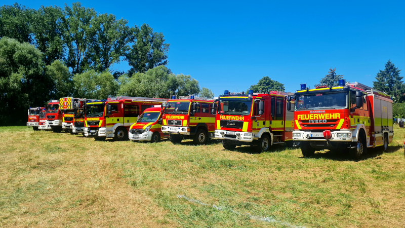 Zehn Feuerwehrautos stehen auf einer Wiese in einer Reihe. Dahinter sind Bäume zu sehen.