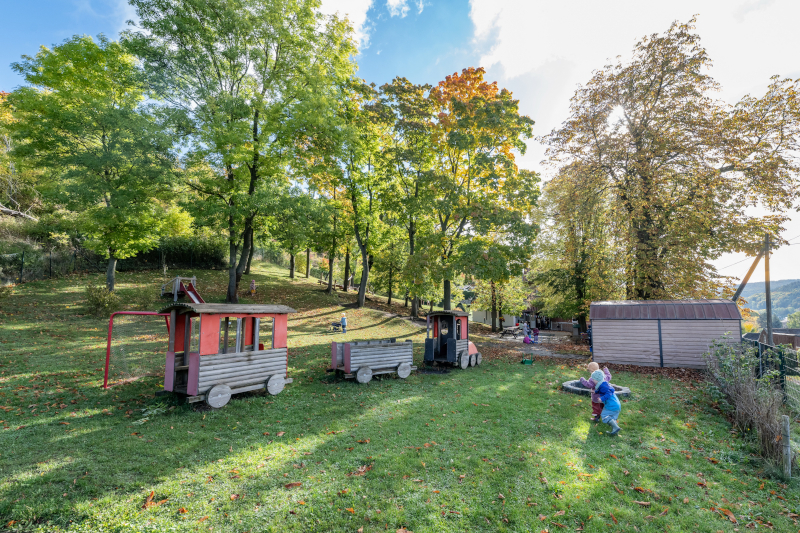 Kletteranlage in Form einer Eisenbahn aus Holz auf einer grünen Wiese mit Bäumen