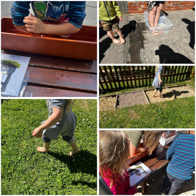 Collage aus Bildern vom Kneippen (barfuß auf Wiese, Arm in Wasser, Barfußpfad)